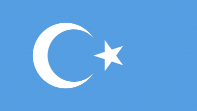 Dogu Turkistan Bayragi