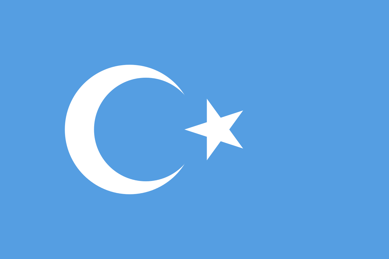 Dogu Turkistan Bayragi