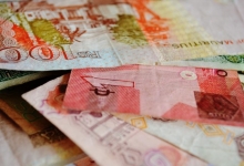 Hindistan Rupisi Para