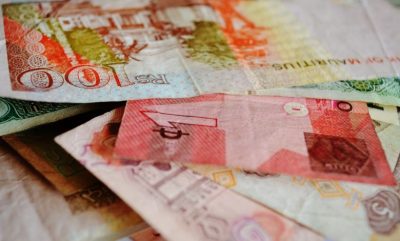 Hindistan Rupisi Para