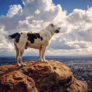 Alabay Dag ve Manzara