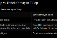 Esnek Talep ve Esnek Olmayan Talep
