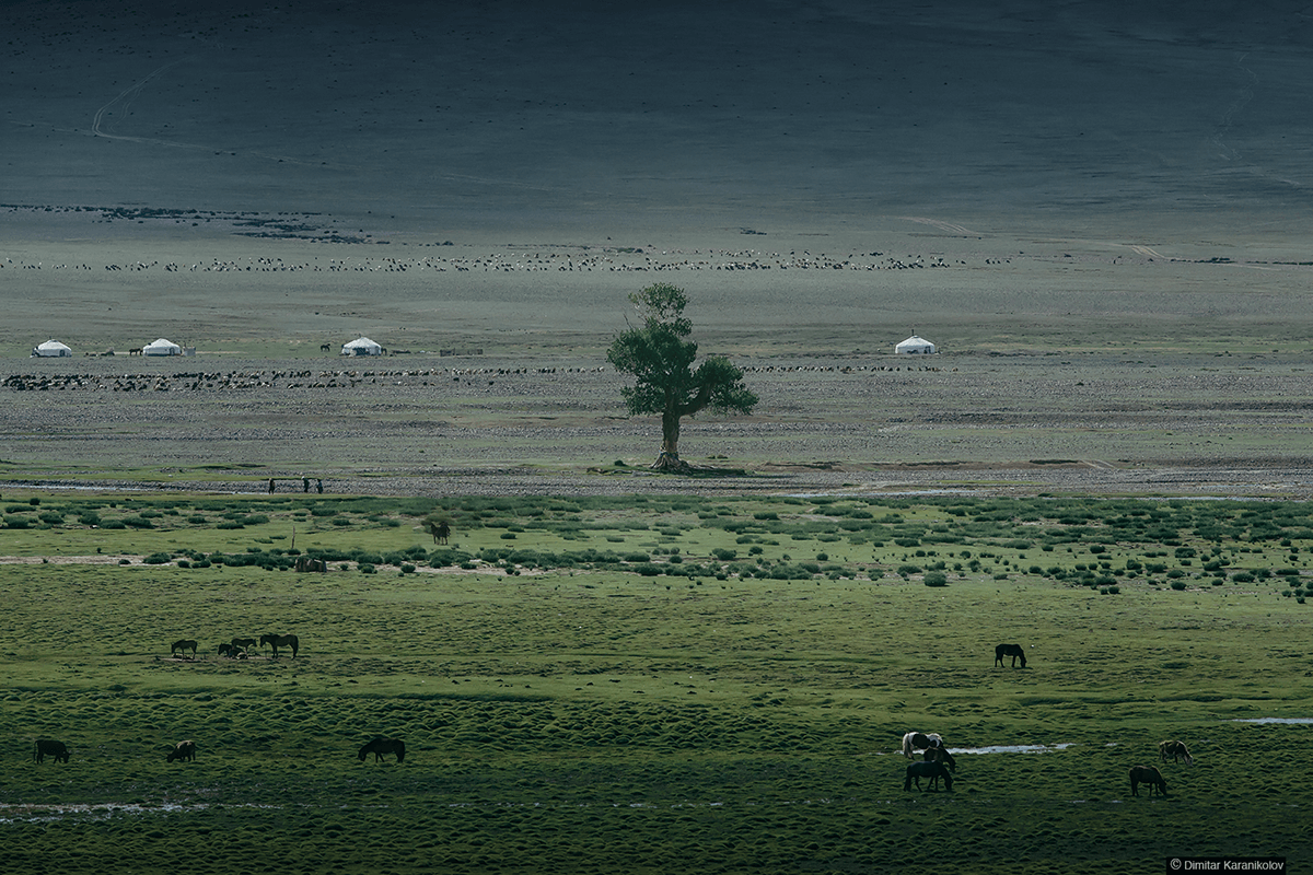 Atlar Otaglar Bozkir Kazak Turkleri Bati Mogolistan