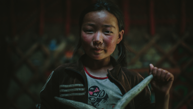 Boynuz Kazak Turku Kiz Bati Mogolistan