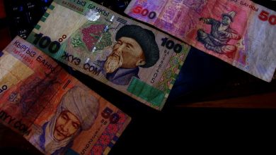 Kirgizistan Somu Qirgizistan somu Киргизский сом