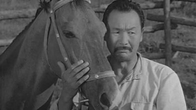 Qosh bol Gulsary 2008 Film