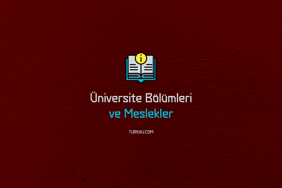 Üniversite Bölümleri ve Meslekler