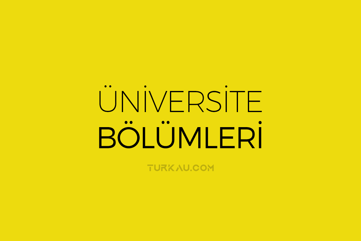Üniversite Bölümleri