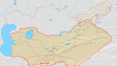 Guney Turkistan