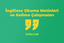 Ingilizce Okuma Metinleri ve Kelime Calismalari