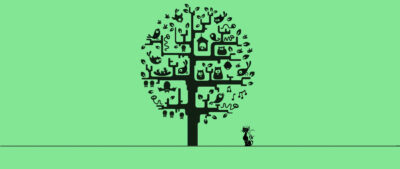 English Learning Cat