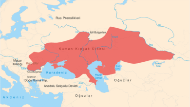 Desti Kipcak