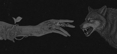 Kurt ve İnsan Karşılaşması Wolf and Human Encounter